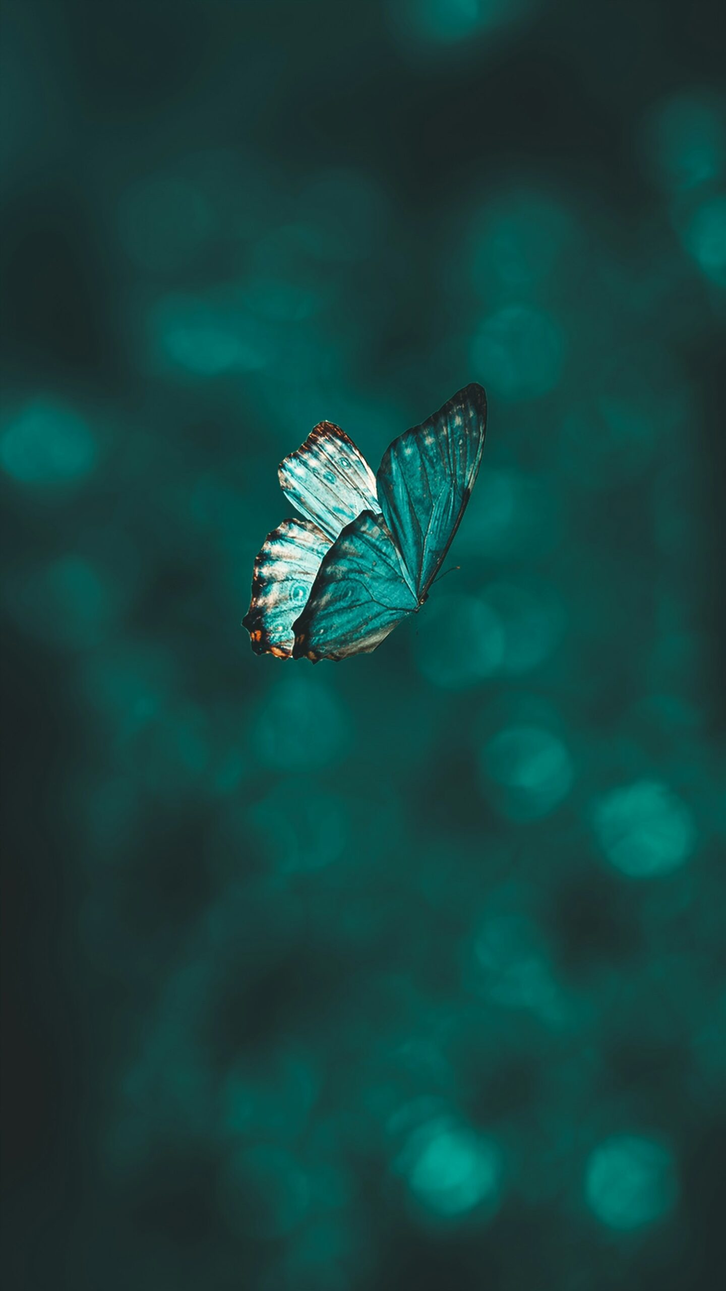 Unlocking Inner Strength Through Self-Realization
