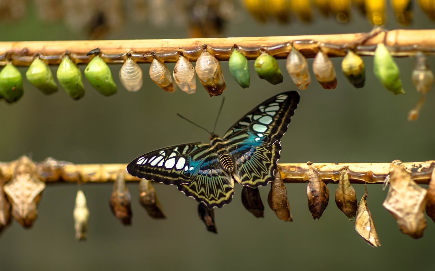 Awakening to Your True Potential
