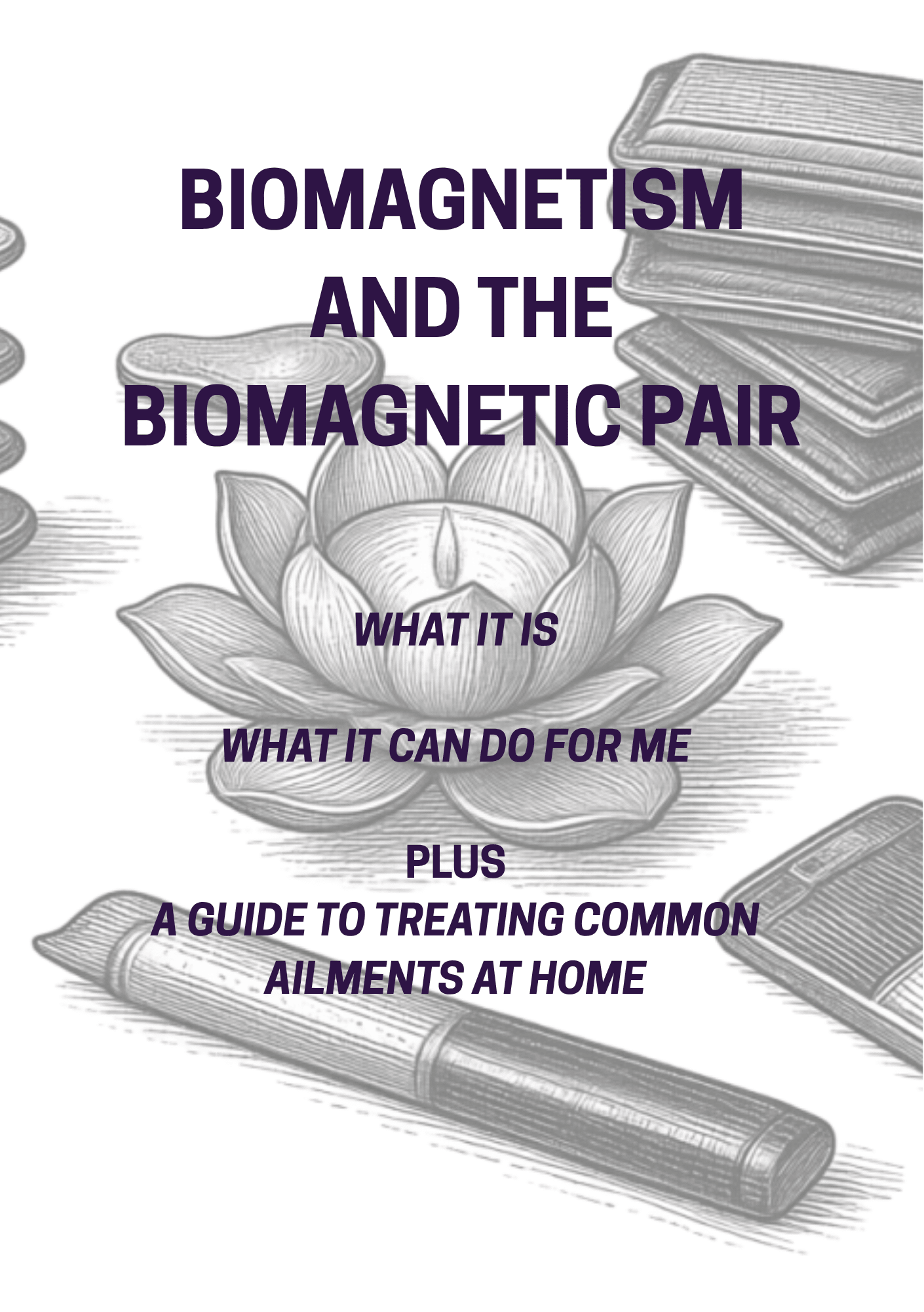 Biomagnetism and biomagnetic pair - cover image