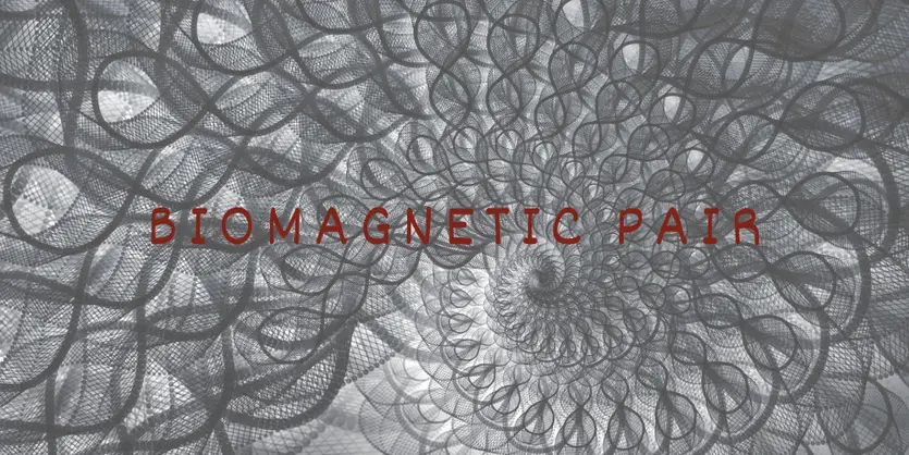 biomagnetic pair biomagentism